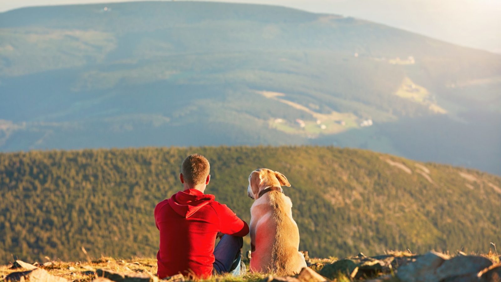 hiking with dogs