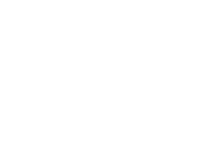 Side Hustle cursive text logo